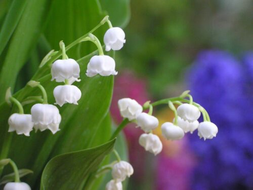 年度末の三月がスタート！｜スタッフブログ｜小出運送株式会社